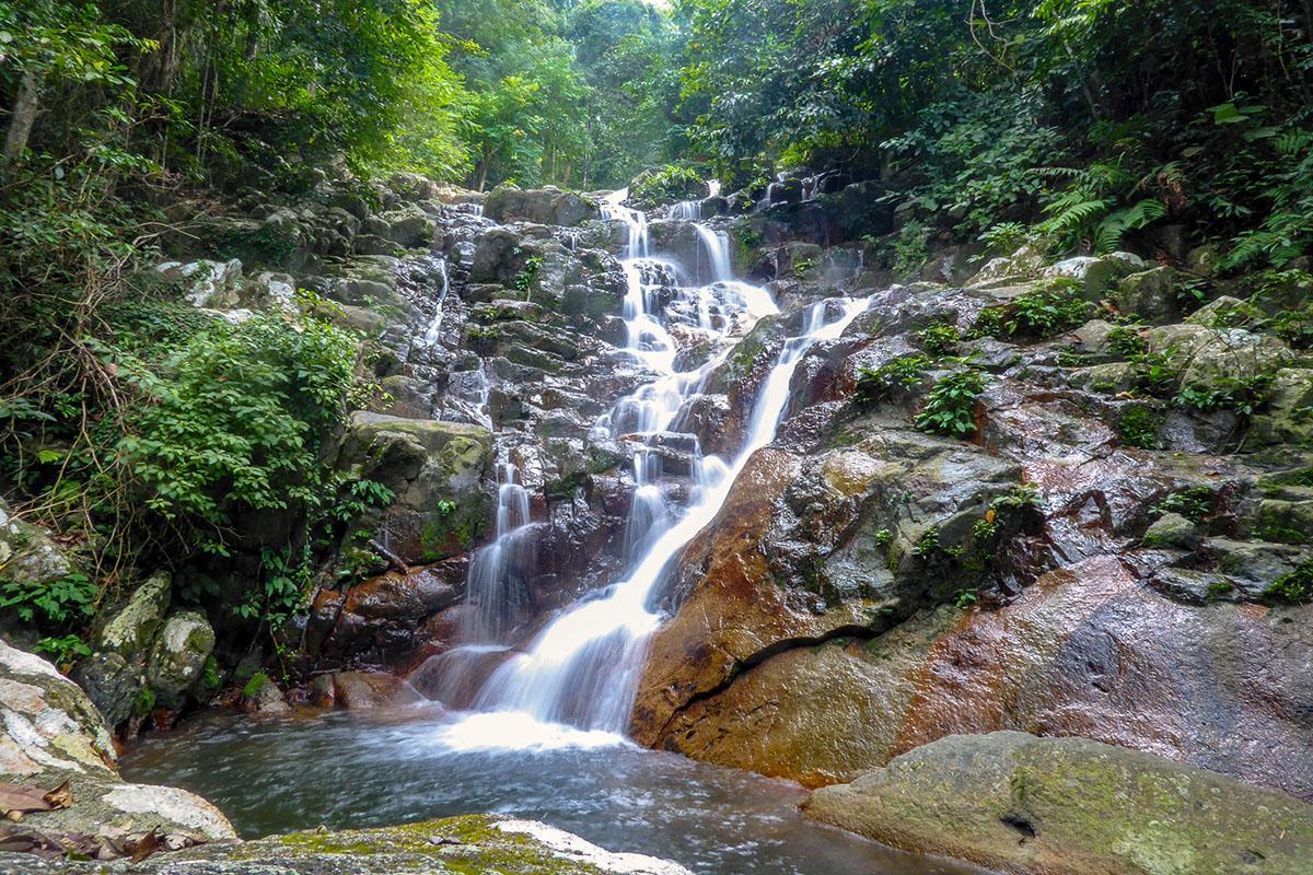 Jungle & Waterfalls